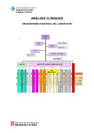 organigrama funcional del laboratori - ICS