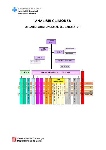 organigrama funcional del laboratori - ICS