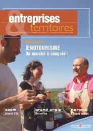 Entreprises & Territoires 19 - juin 2009 - (CCI) Béziers - Saint Pons