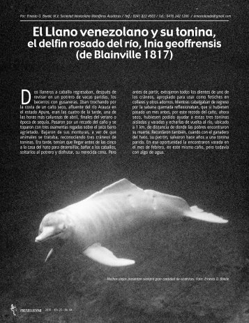 Leer Más - Azul Ambientalistas
