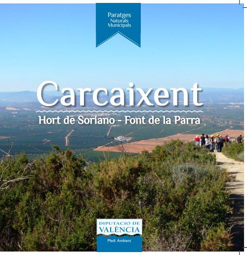 Carcaixent Buenos.pdf