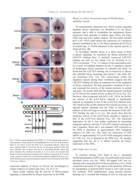 2007-DevelopmentalBiology.pdf