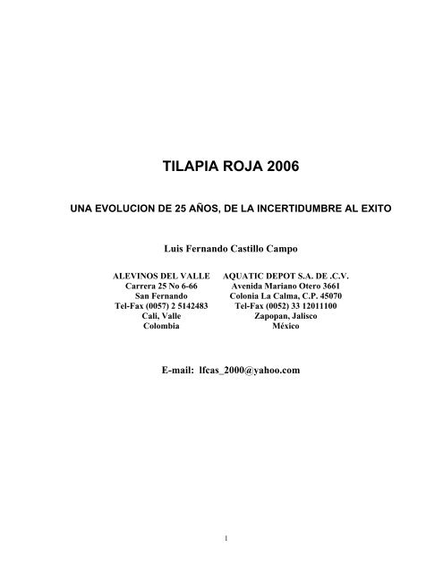 50-100 Piezas De Marfilgotas Blancas Imitan Las Cuentas De 50-100 Piezas De Marfilgotas Blancas Imitan Las Cuentas De
