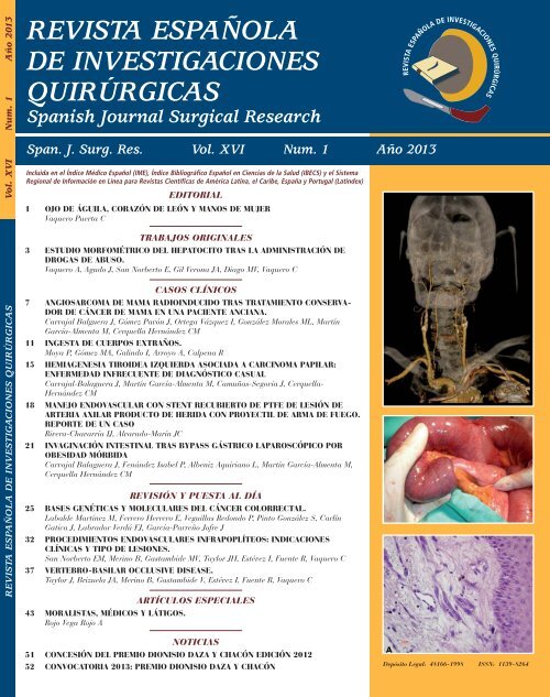 modelo de erección de colorrectal