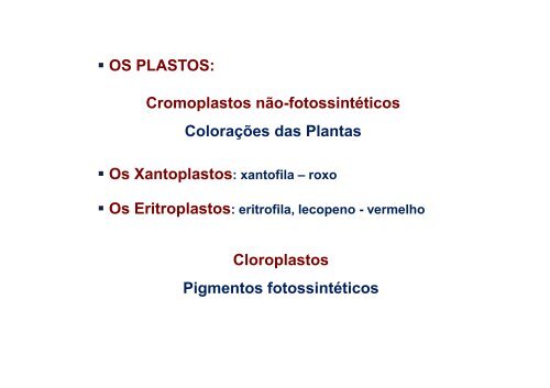 BIOLOGIA CELULAR - A CÉLULA VEGETAL.ppt [Modo de ...