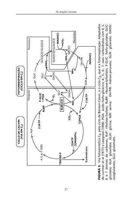 Metabolismo de Carbono na Agricultura Tropical.pdf - Webnode