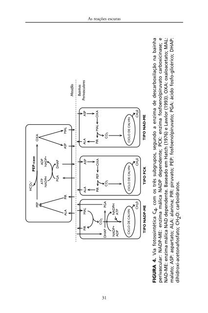 Metabolismo de Carbono na Agricultura Tropical.pdf - Webnode