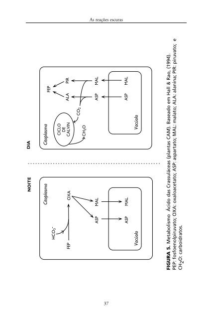 Metabolismo de Carbono na Agricultura Tropical.pdf - Webnode