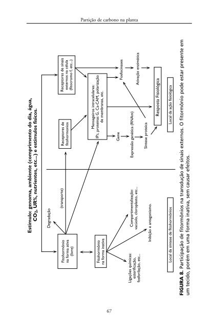 Metabolismo de Carbono na Agricultura Tropical.pdf - Webnode