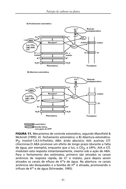 Metabolismo de Carbono na Agricultura Tropical.pdf - Webnode