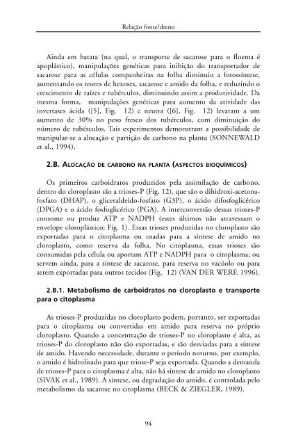 Metabolismo de Carbono na Agricultura Tropical.pdf - Webnode