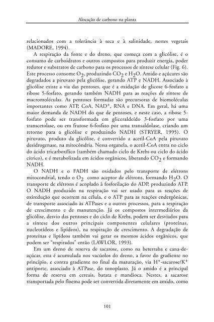 Metabolismo de Carbono na Agricultura Tropical.pdf - Webnode