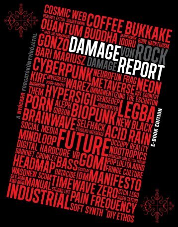 bari_mariusz_-_damage_report_ebook_version
