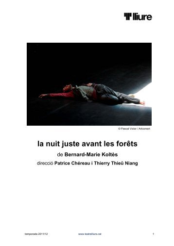 la nuit juste avant les forêts - Teatre Lliure