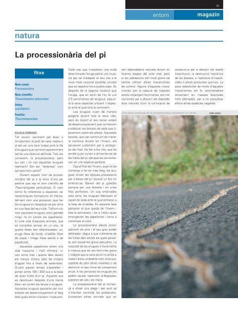 Descarrega PDF (15.23 MB) - Revista Alella