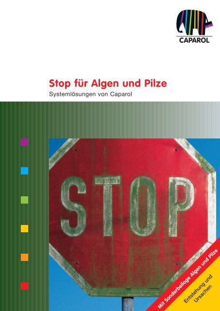 Stop für Algen und Pilze - maler-huber