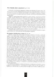 VI.l. Dominis, alous i propietats (fig. 86 i 88) - Ajuntament de Girona