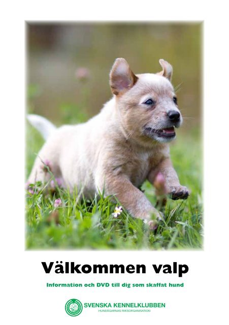 Välkommen valp 2012 - Svenska Kennelklubben