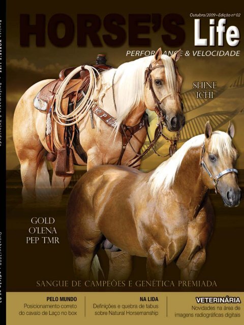 Paint Horse: conheça tudo sobre essa raça de cavalo - Blog MF Leilões