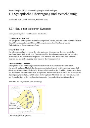 PDF-Druckversion - Ulrich Helmich