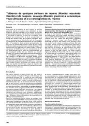 Tolérance de quelques cultivars de manioc (Manihot ... - Tropicultura