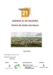 Síntesi de dades tècniques - Ajuntament de Solsona