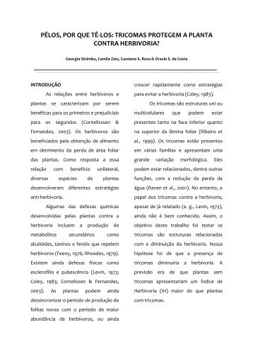 pêlos, por que tê-los: tricomas protegem a planta ... - PDBFF - Inpa