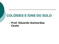COLÓIDES E ÍONS DO SOLO