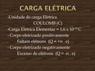 CARGA ELÉTRICA