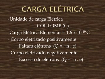 CARGA ELÉTRICA