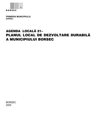 planul local de dezvoltare durabilă a municipiului borsec