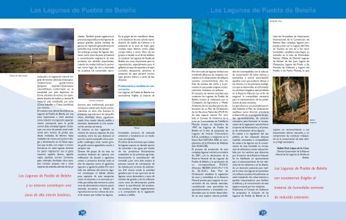 Descargar - Revista Medio Ambiente