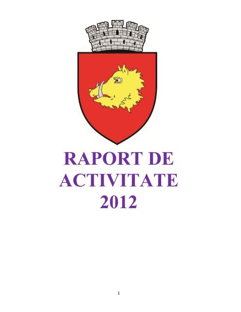 18 martie 2013 - Raport de activitate pe anul 2012 ... - Primăria Roman