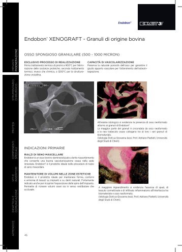 Endobon® XENOGRAFT - Granuli di origine bovina - Biomax