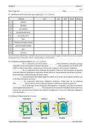 examen 1