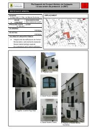 Pla Especial del Conjunt Històric de Cadaqués i el seu ... - urbanisme