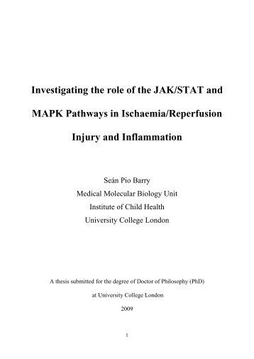 Investigating the role of the JAK/STAT and MAPK ... - UCL Discovery