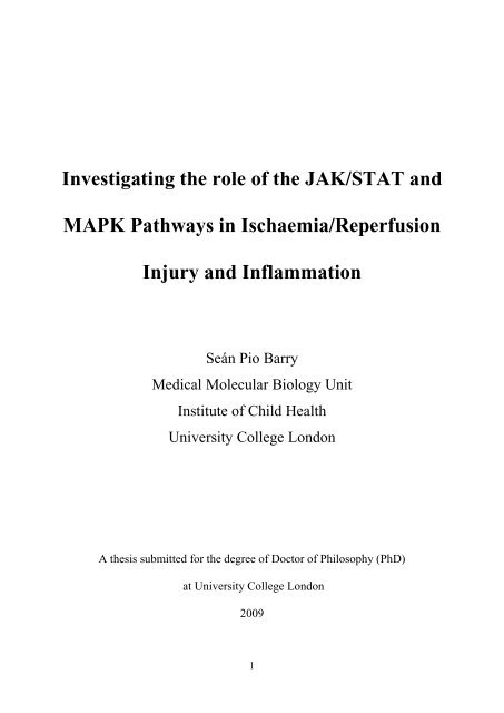 Investigating the role of the JAK/STAT and MAPK ... - UCL Discovery