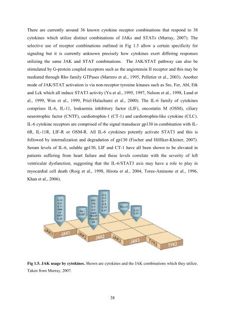 Investigating the role of the JAK/STAT and MAPK ... - UCL Discovery