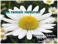 Els remeis naturals - Centre de Formació d'Adults Girona