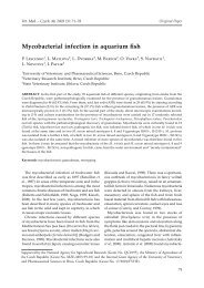 Mycobacterial infection in aquarium fish