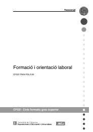 Formació i orientació laboral (GS) - IOC