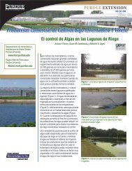 El control de Algas en las Lagunas de Riego - Purdue Extension ...