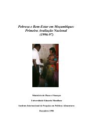 Pobreza e Bem-Estar em Moçambique - International Food Policy ...