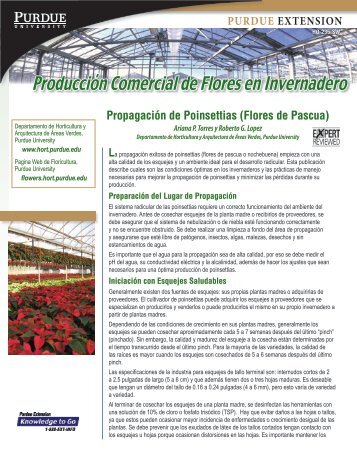 Propagación de Poinsettias - Purdue Extension - Purdue University