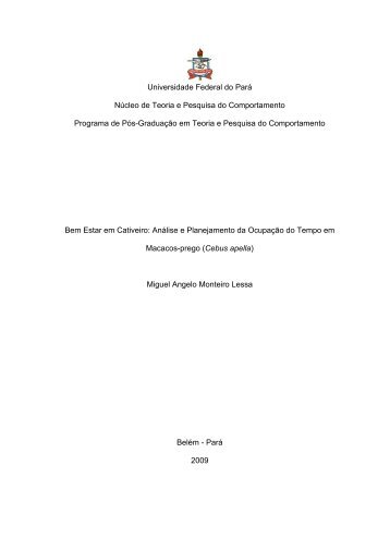 Análise e Planejamento da Ocupação do Tempo em Macacos-Prego