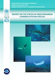 estatus tiburones - Regional Activity Centre for Specially Protected ...