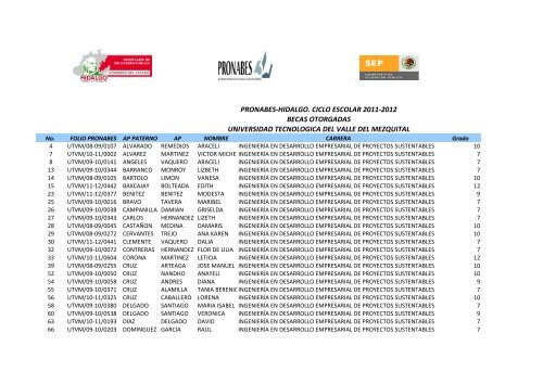 Ayep - Universidad Tecnológica del Valle del Mezquital