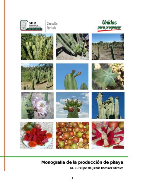 Producción de Pitahaya.pdf