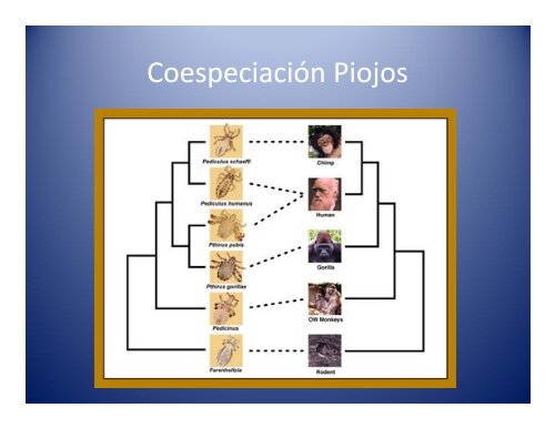 Trafico ilegal de animales y enfermedades emergentes